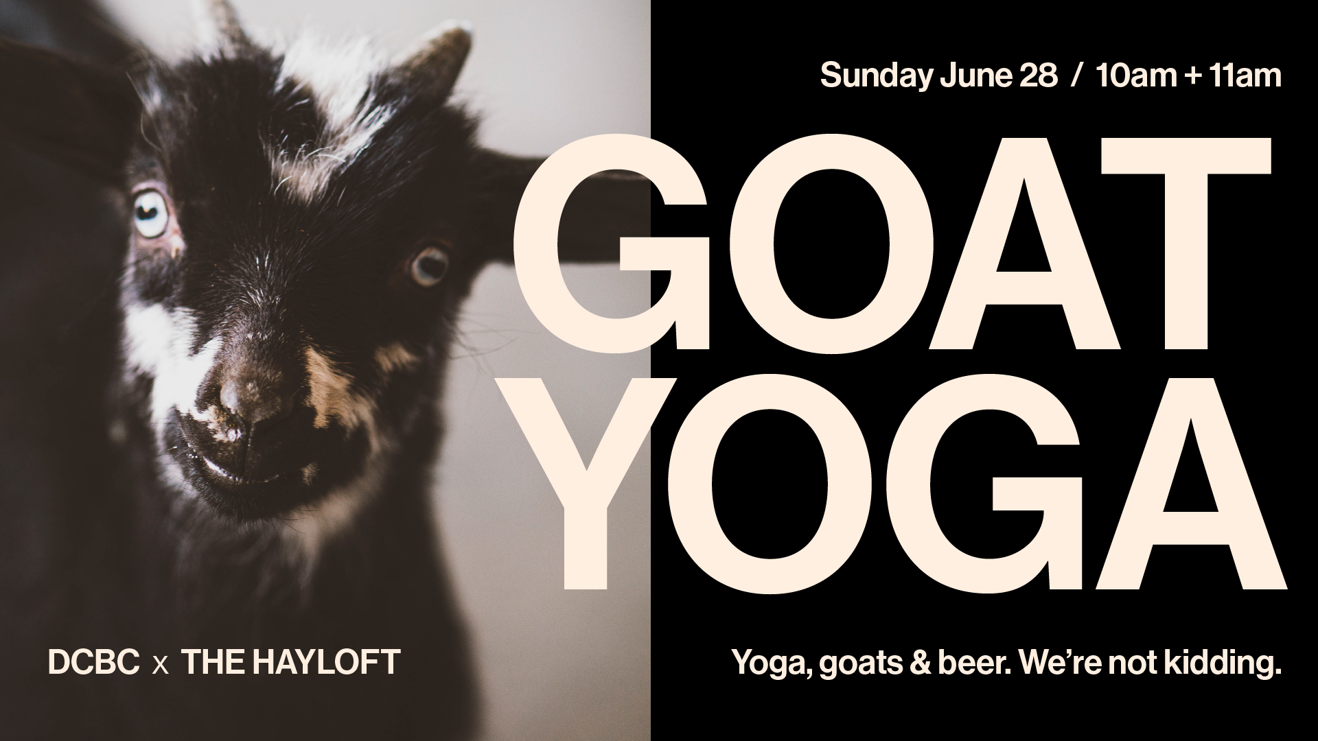 Goat Yoga